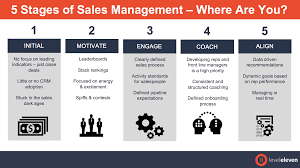 management sales