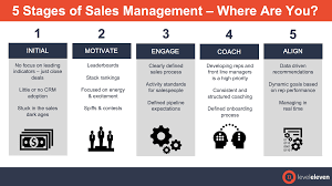 sales-management